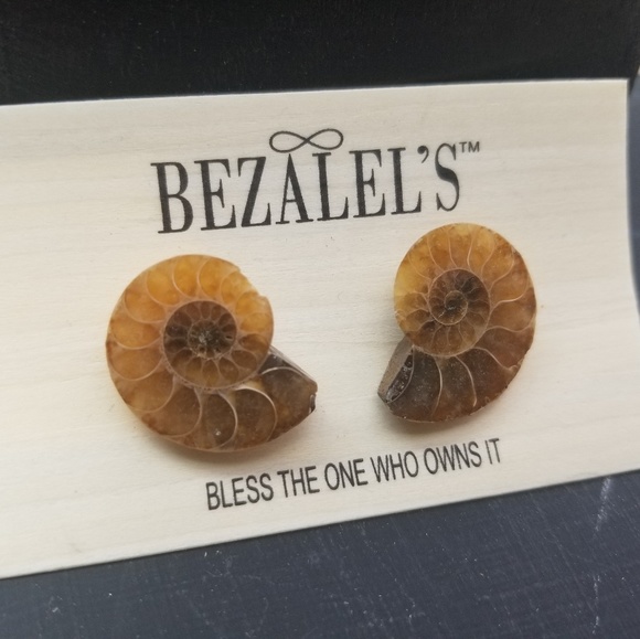 Ammonite Fossil Earrings - Picture 4 of 5